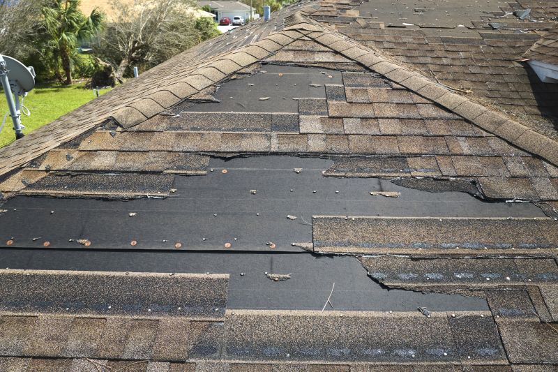 Hail Damage Roof Repair detail